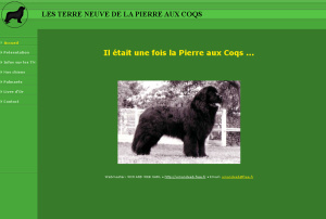 La Pierre aux Coqs La Pierre aux Coqs